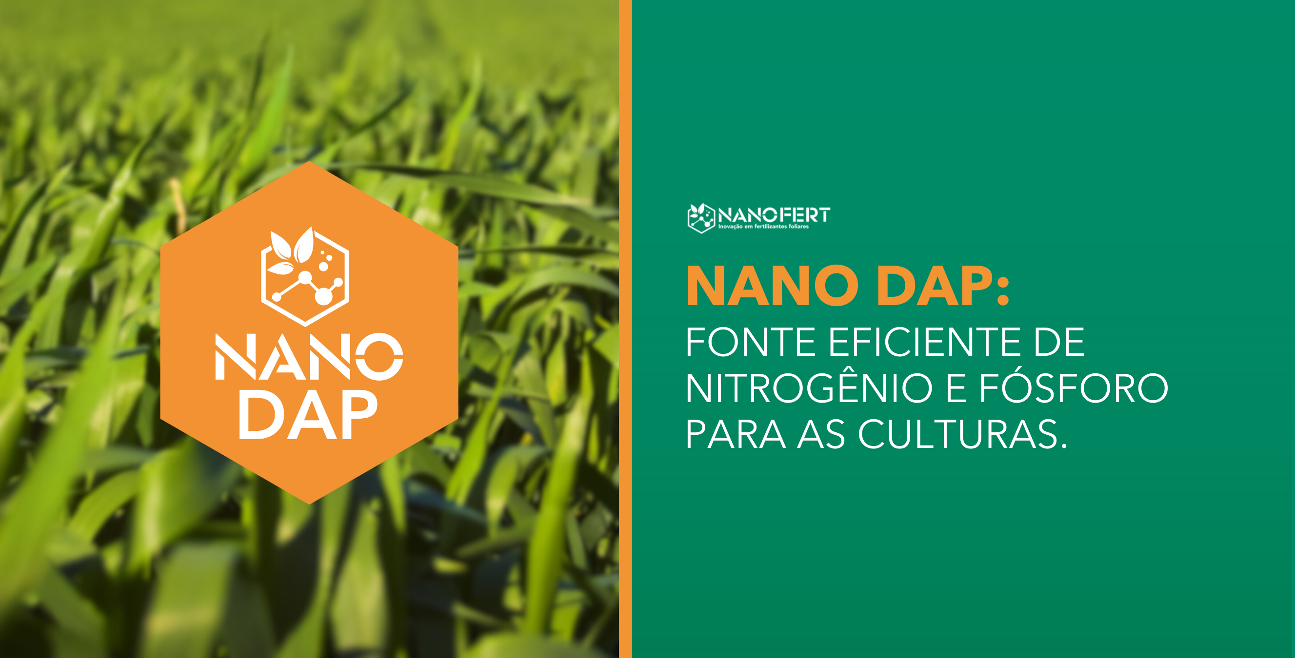 NANO DAP: Fonte eficiente de nitrogênio e fósforo para as culturas.