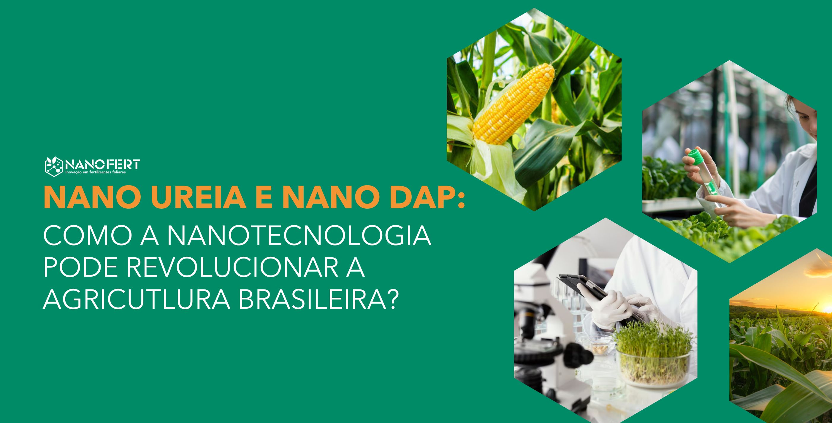 Como a nanotecnologia pode revolucionar a agricutlura brasileira