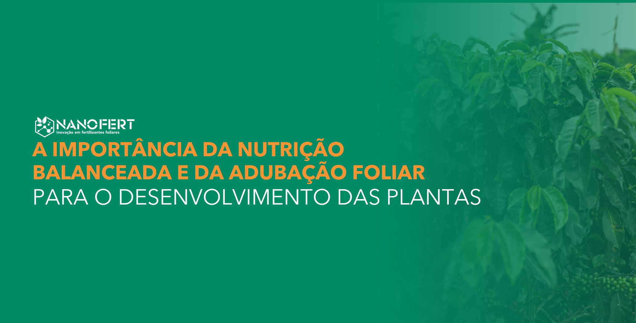 A Importância da Nutrição Balanceada e da Adubação Foliar