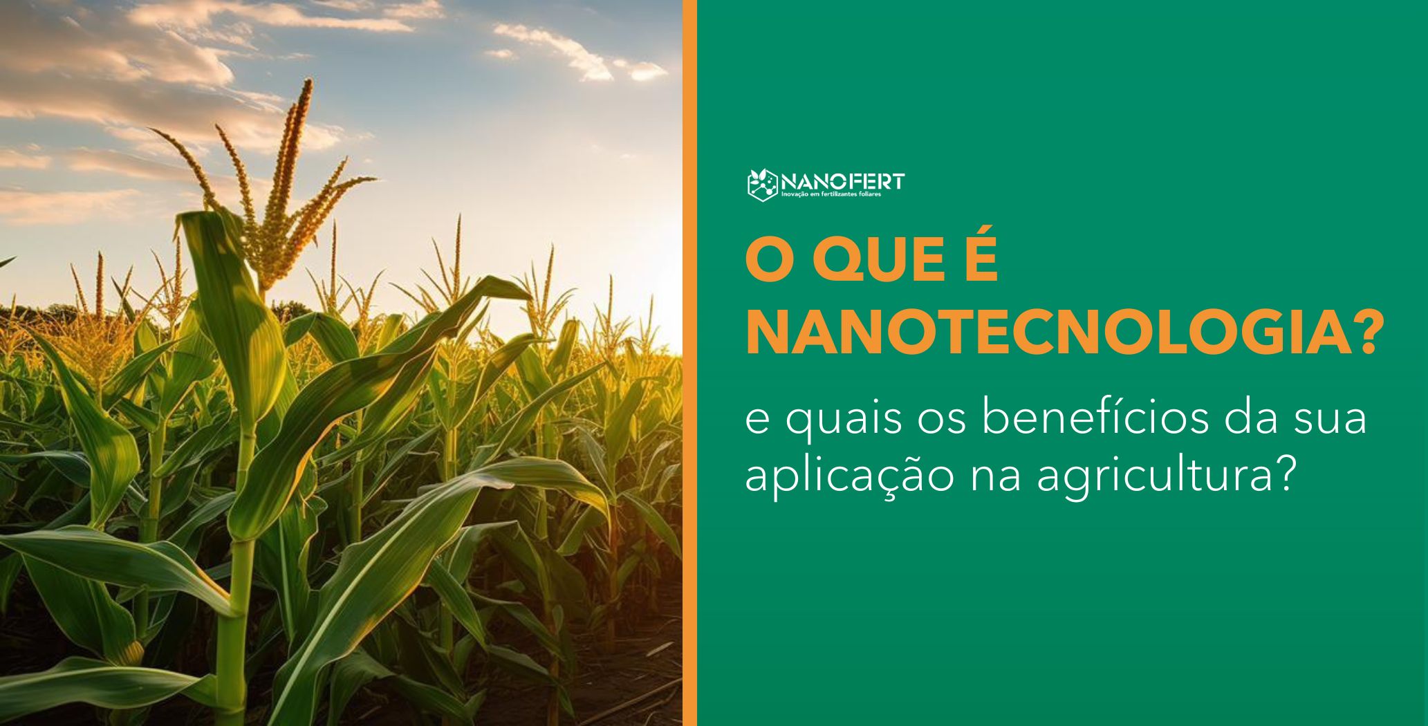 Uma plantação verde e com muita vida que exemplifica o uso de Nanofertilizantes foliares na plantação