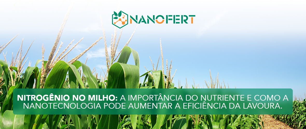 Importância do Nitrogênio no Milho com NanoBalance Nitro