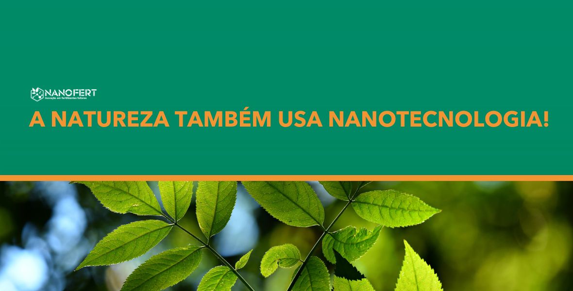 A Natureza também usa Nanotecnologia