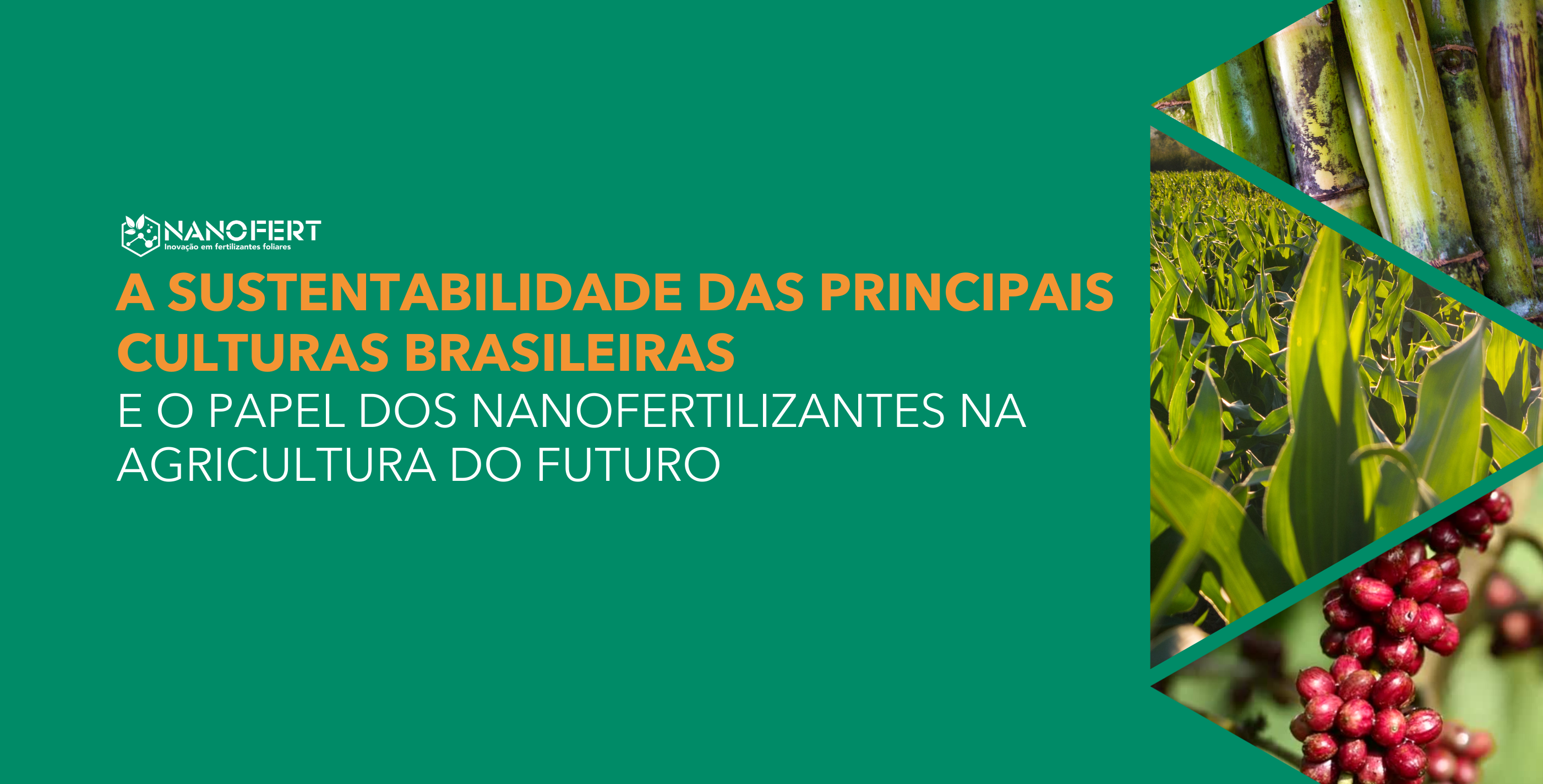 A Sustentabilidade das Principais Culturas Brasileiras e o Papel dos Nanofertilizantes na Agricultura do Futuro