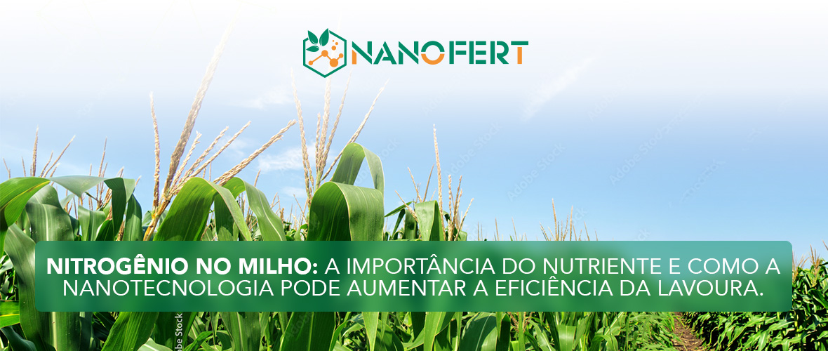 Importância do Nitrogênio no Milho com NanoBalance Nitro