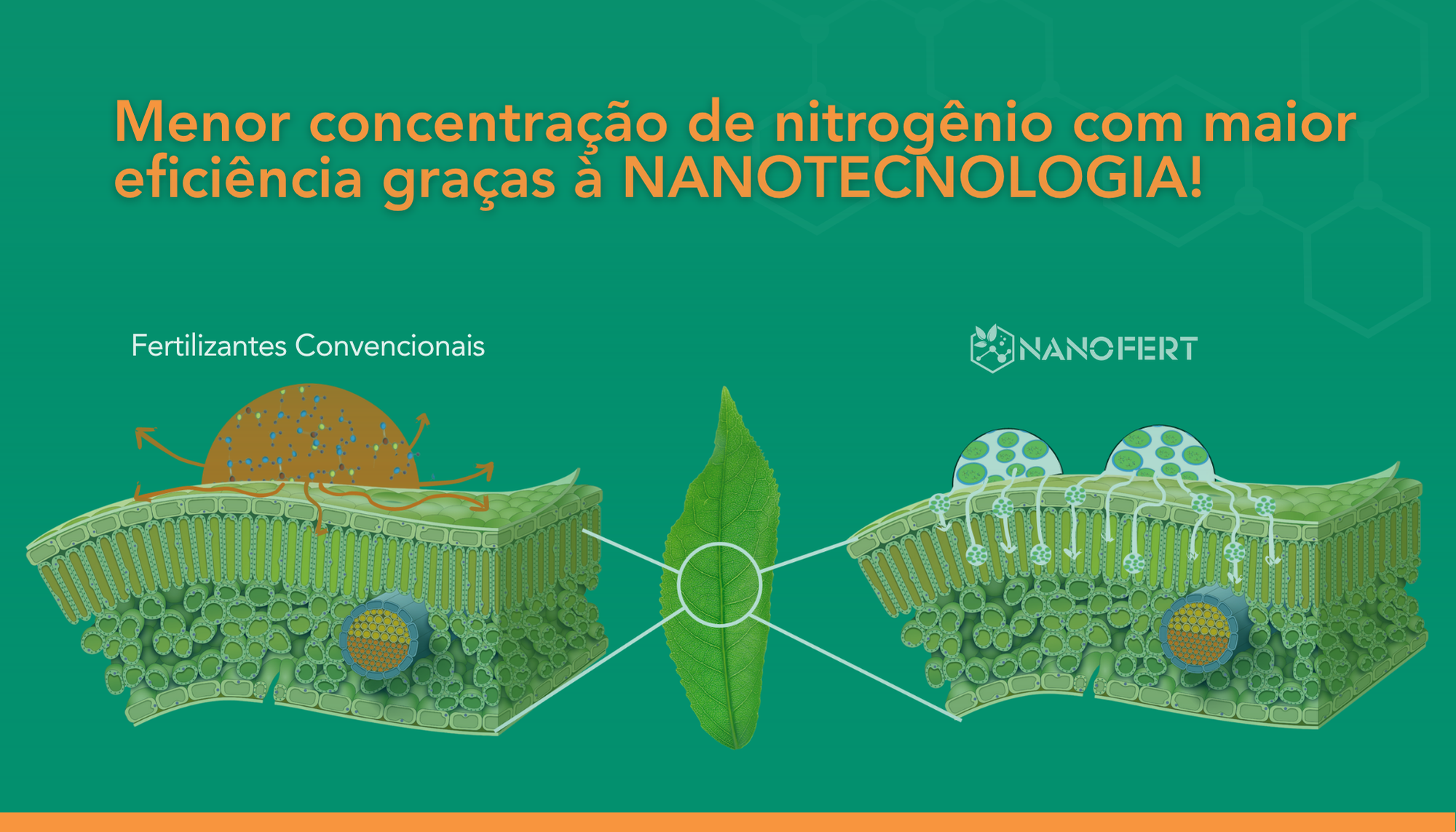 nanofertilizantes nitrogenados versus fertilizantes nitrogenados convencionais