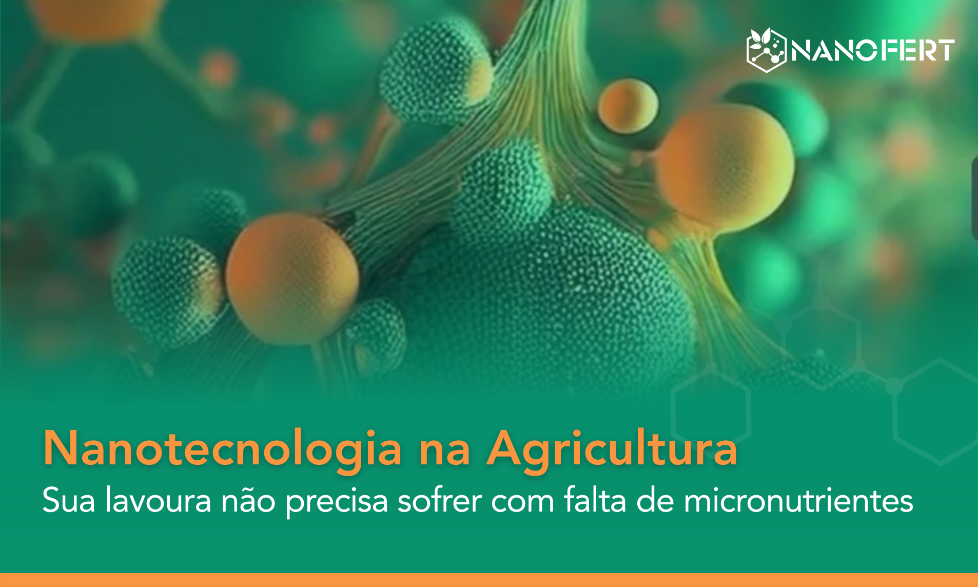 NANOTECNOLOGIA NA AGRICULTURA