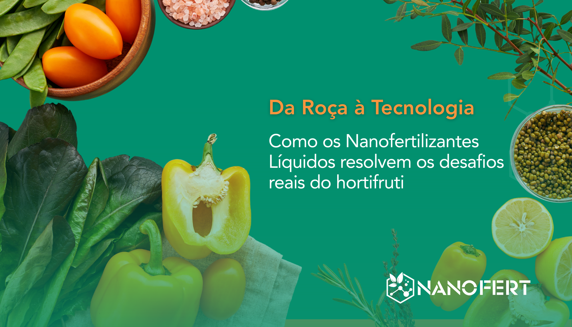nanofertilizantes superando desafios do hortifruti