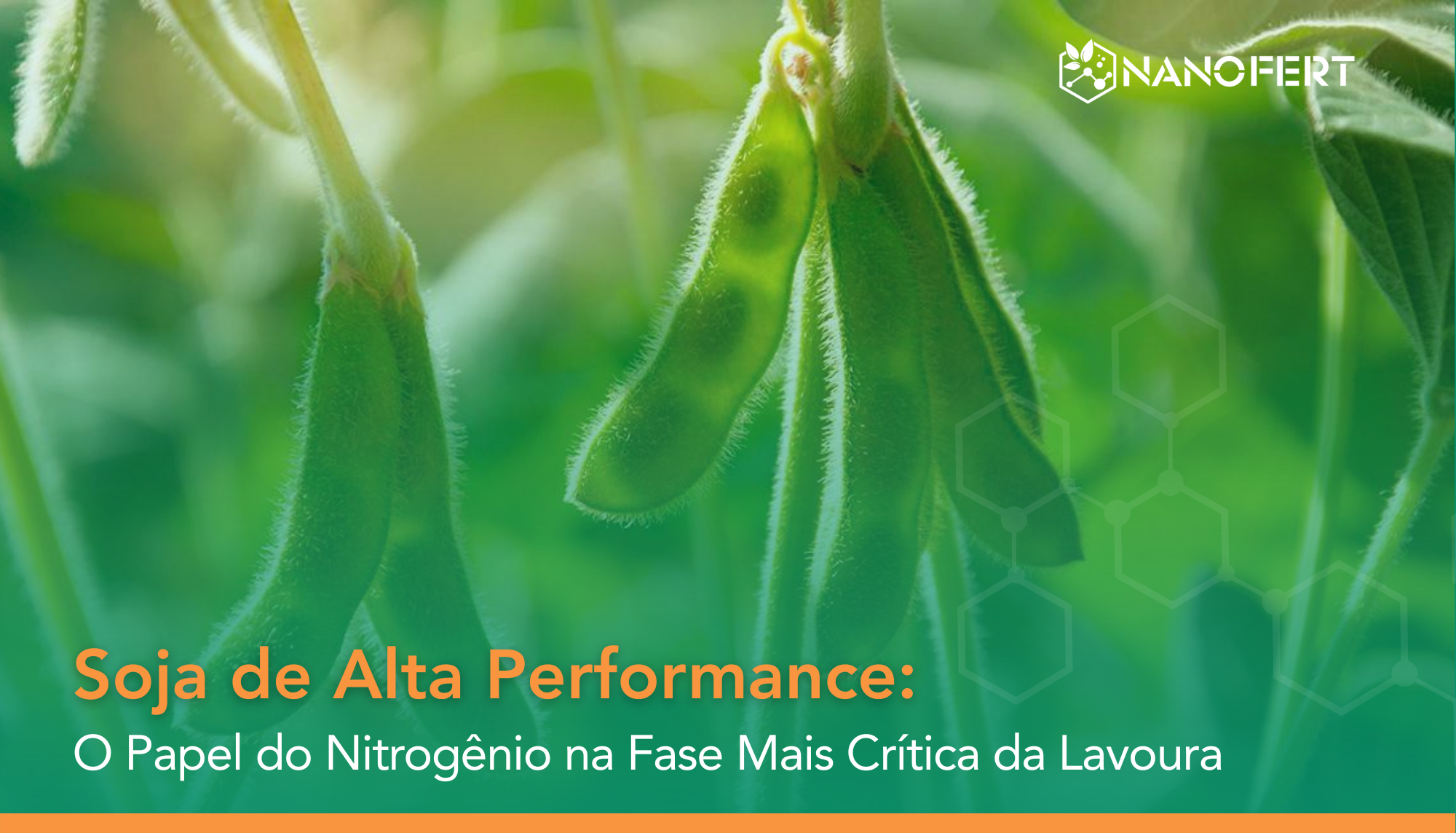 soja de alta produtividade com nanofertilizante nitrogenado NanoBalance Nitro